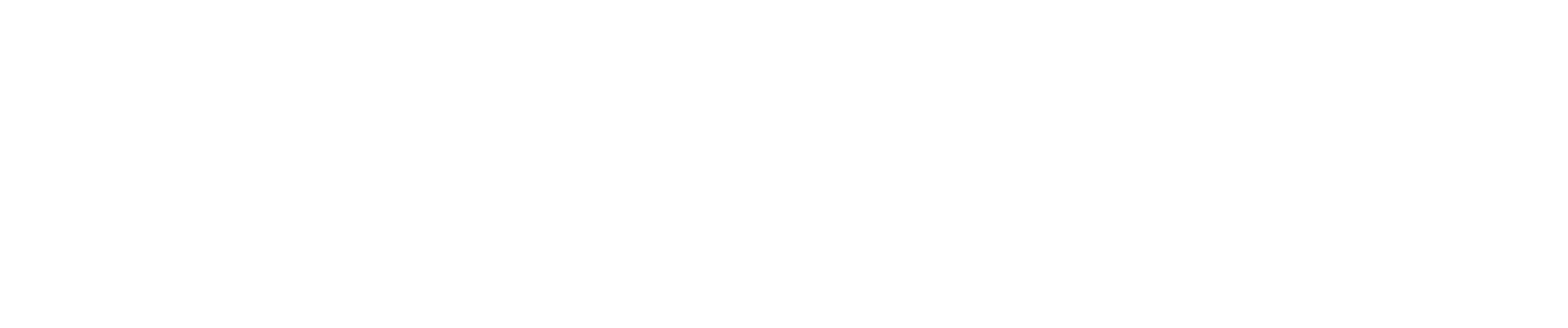 Frey Werbemittel Print Media Logo